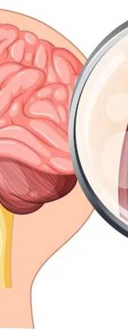 Deadly brain-eating amoeba cases rising in Kerala: Doctors share warning signs and prevention tips Deadly brain-eating amoeba cases rising in Kerala: Doctors share warning signs and prevention tips